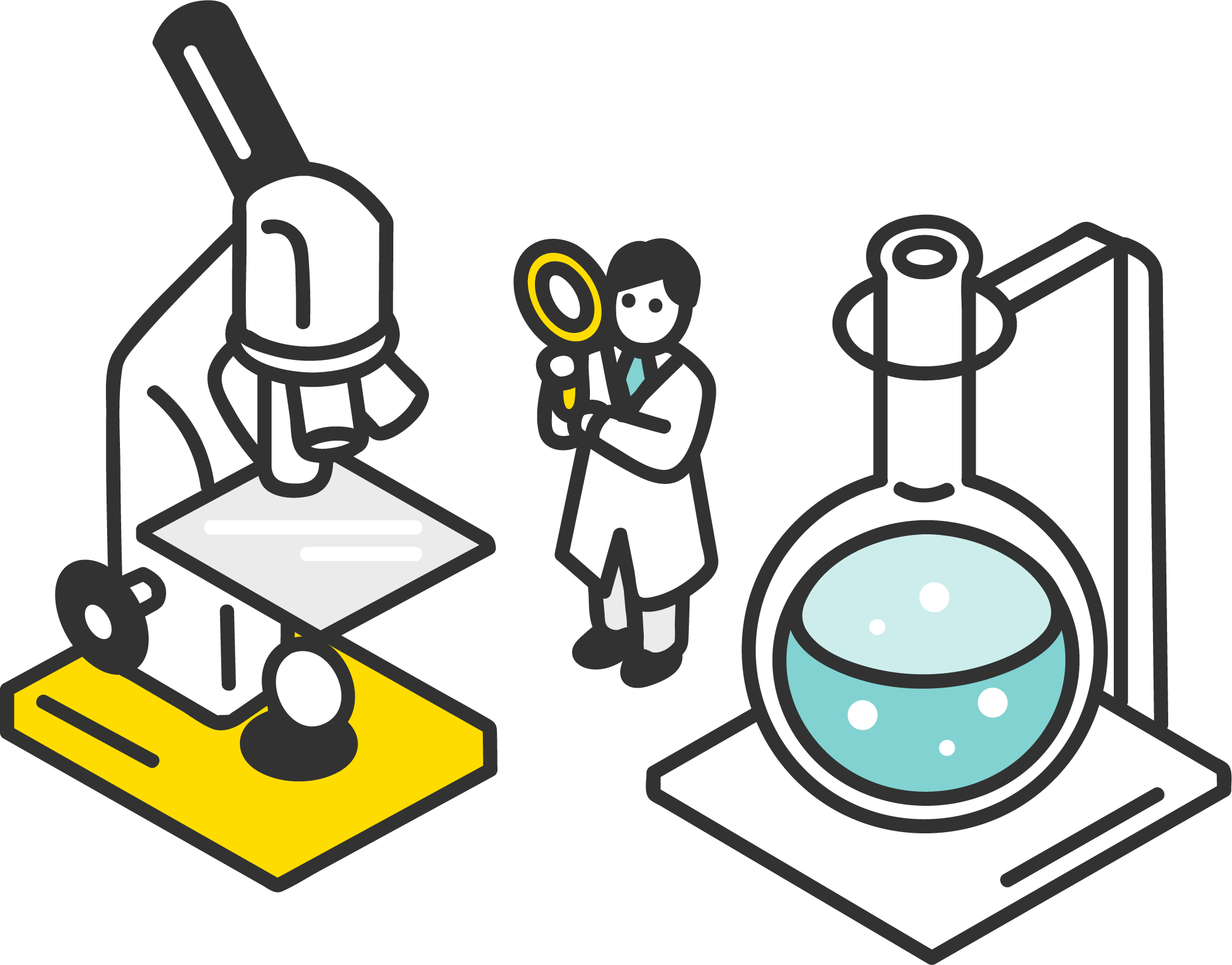 答案を観察する学習イラスト
